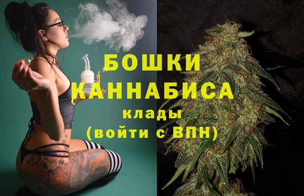 ГАЛЛЮЦИНОГЕННЫЕ ГРИБЫ Калининец