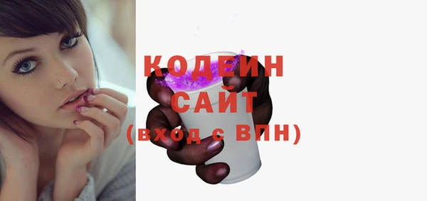 дурь Нестеровская