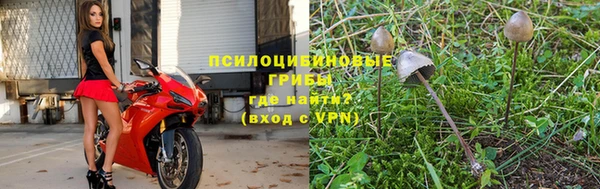 дурь Нестеровская