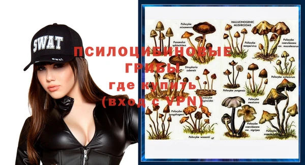 стаф Абаза