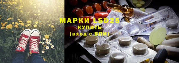 ГАЛЛЮЦИНОГЕННЫЕ ГРИБЫ Калининец