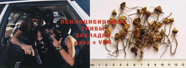 ГАЛЛЮЦИНОГЕННЫЕ ГРИБЫ Калининец